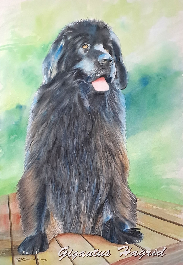 "Retrato de Cão Gigantus Hagrid" Aquarela - Artista Paulo Di Santoro - Atelier | Retrato por Encomenda.